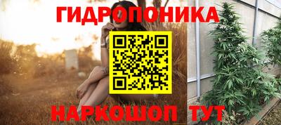 МДПВ Можга