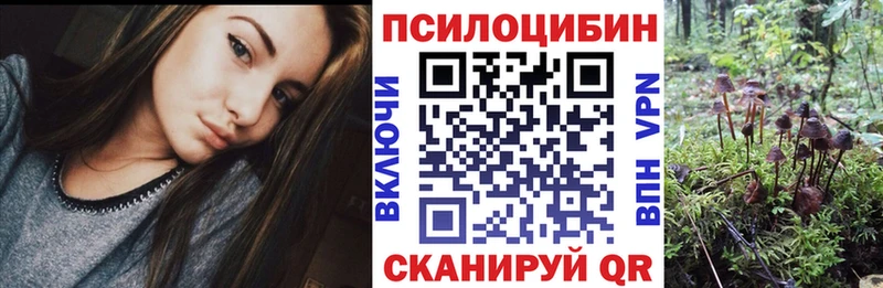 Псилоцибиновые грибы Magic Shrooms  где купить наркоту  Когалым 