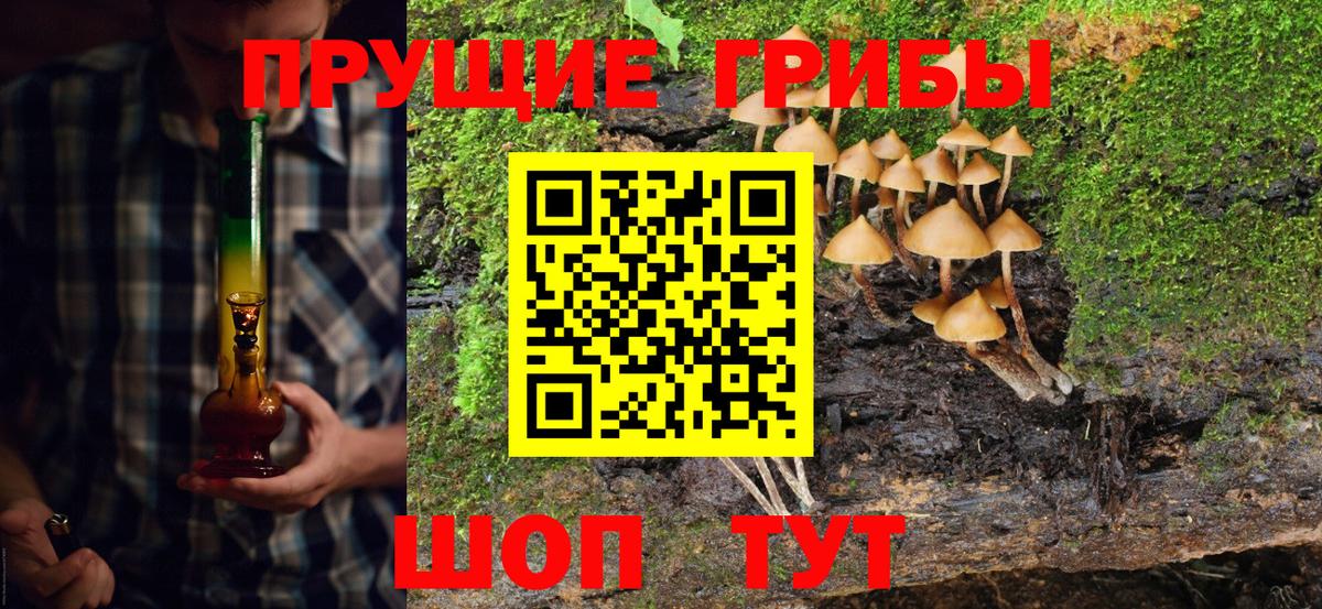 дарнет шоп  Вход с VPN  Когалым  Псилоцибиновые грибы GOLDEN TEACHER 