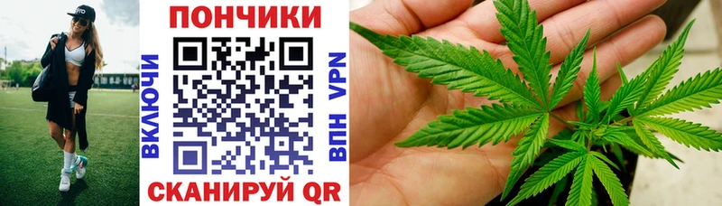 Каннабис гибрид  Когалым 